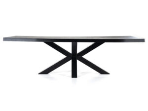 Boomstam tafel met spinpoot 300x100cm zwart